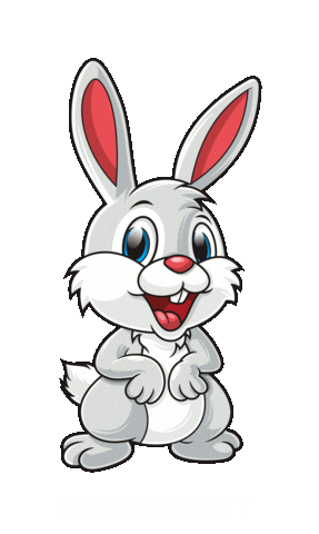 Rabbit Animation